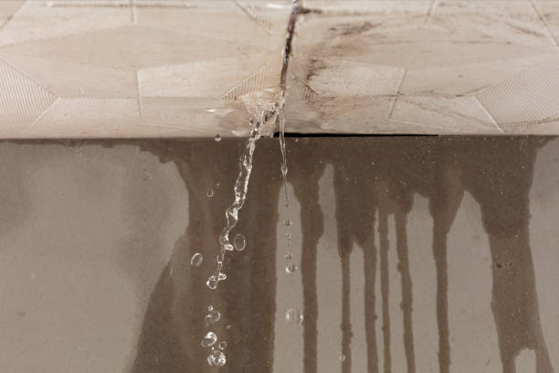 Professional Sewage Cleanup technician working in Sunbright, TN